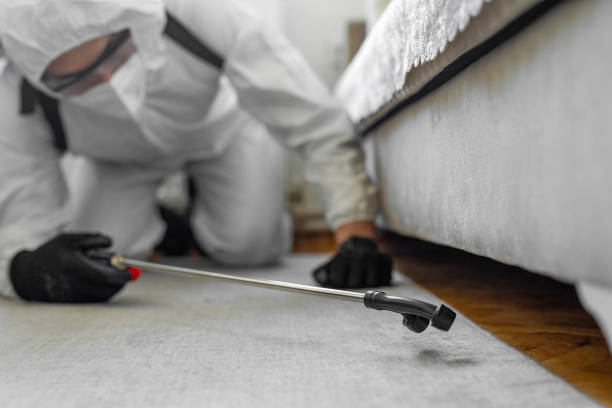 Professional Termite Control technician working in Ballston Spa, NY